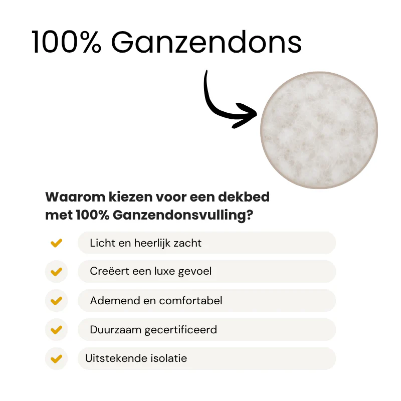 Productafbeelding 3