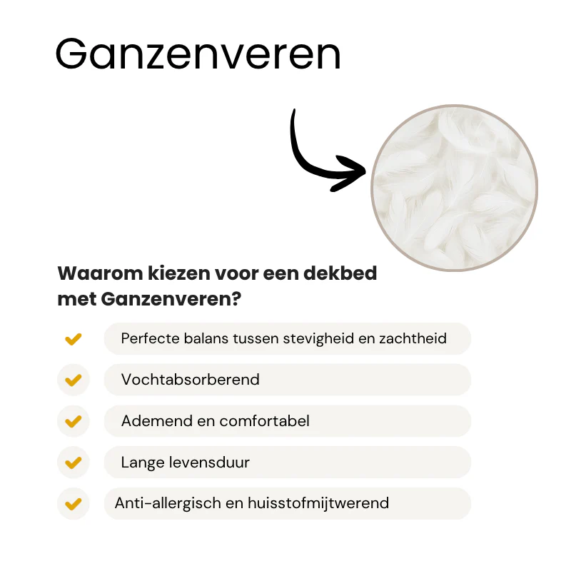 Productafbeelding 3